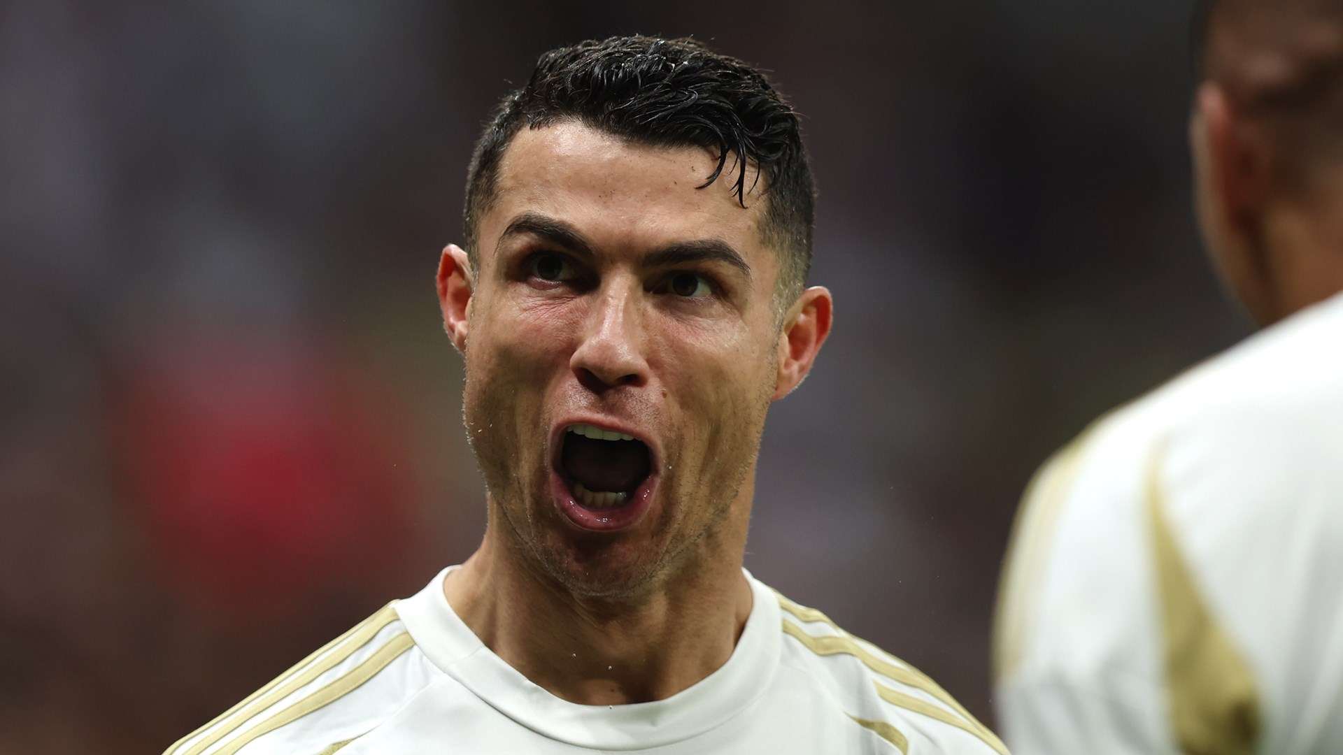 证明了他们 证明了他们