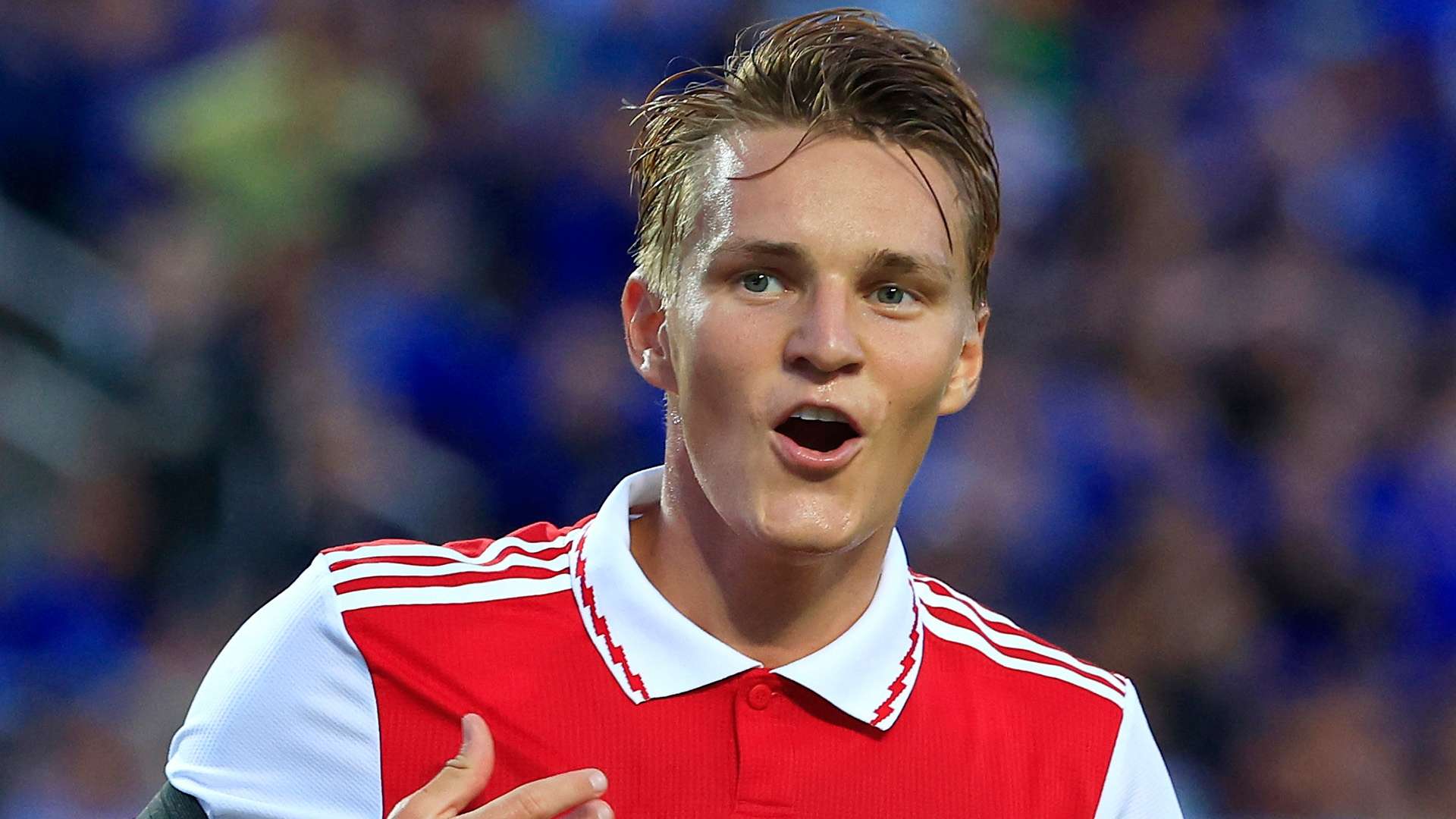 示这位新 示这位新