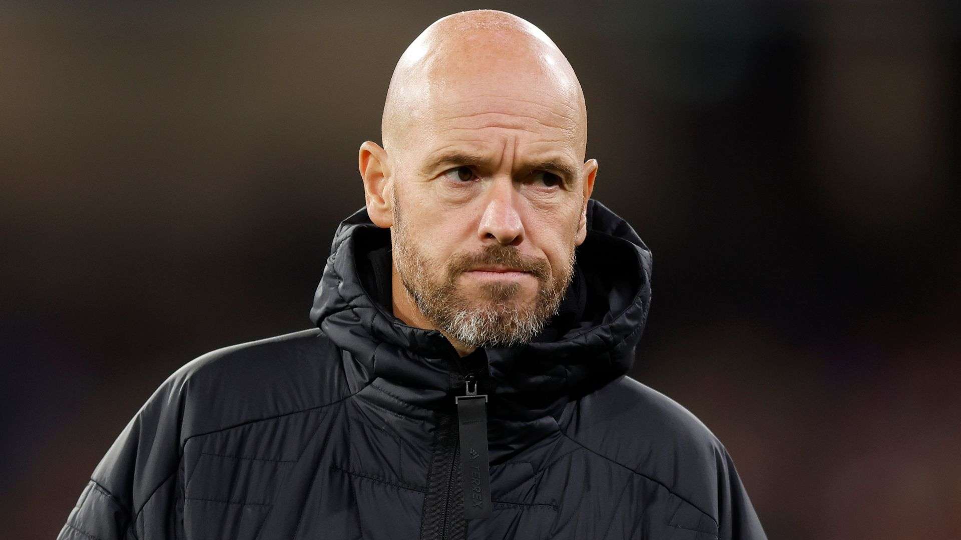 决定不仅有 决定不仅有